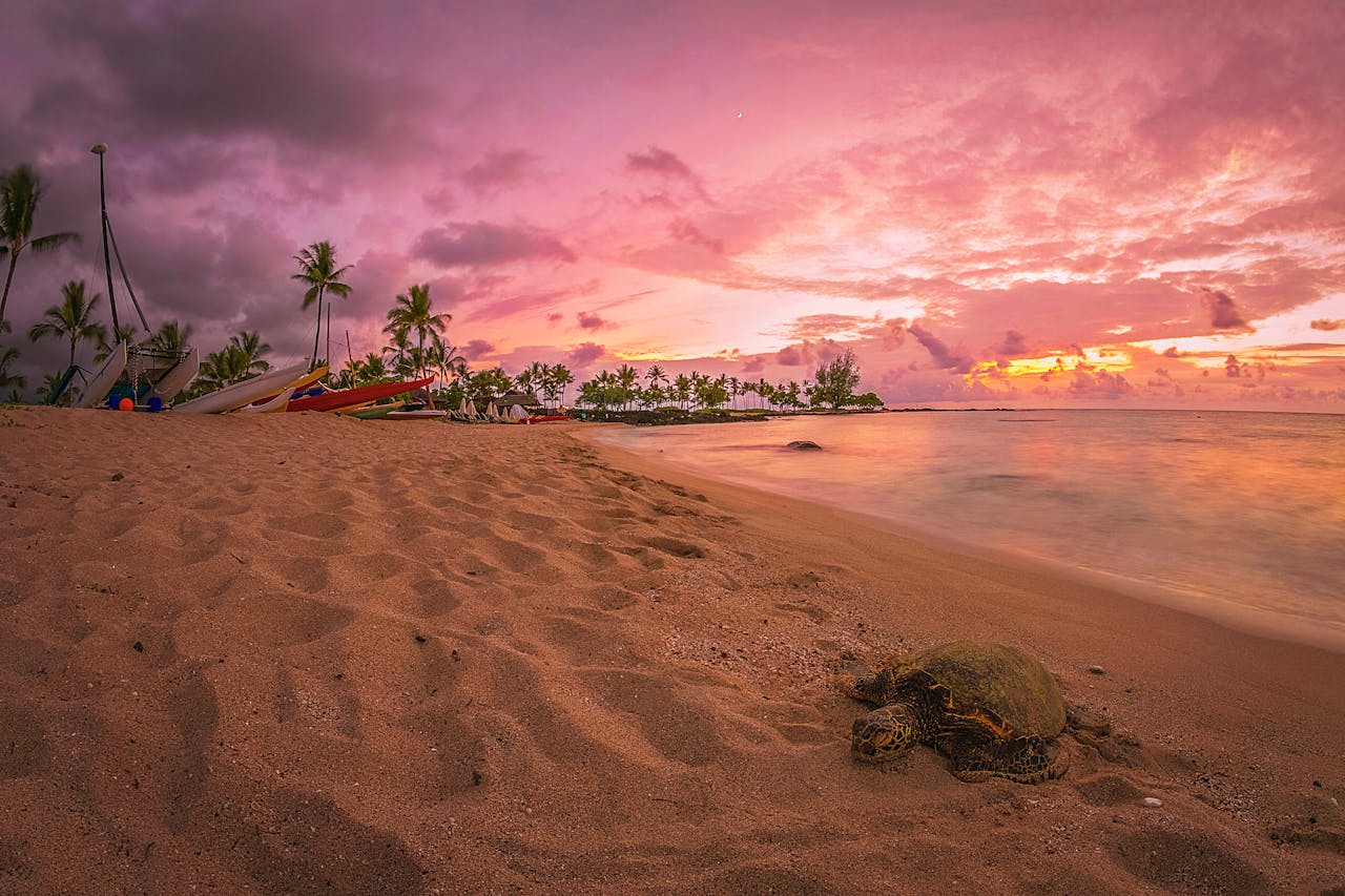 Big Island